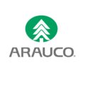 arauco arauco